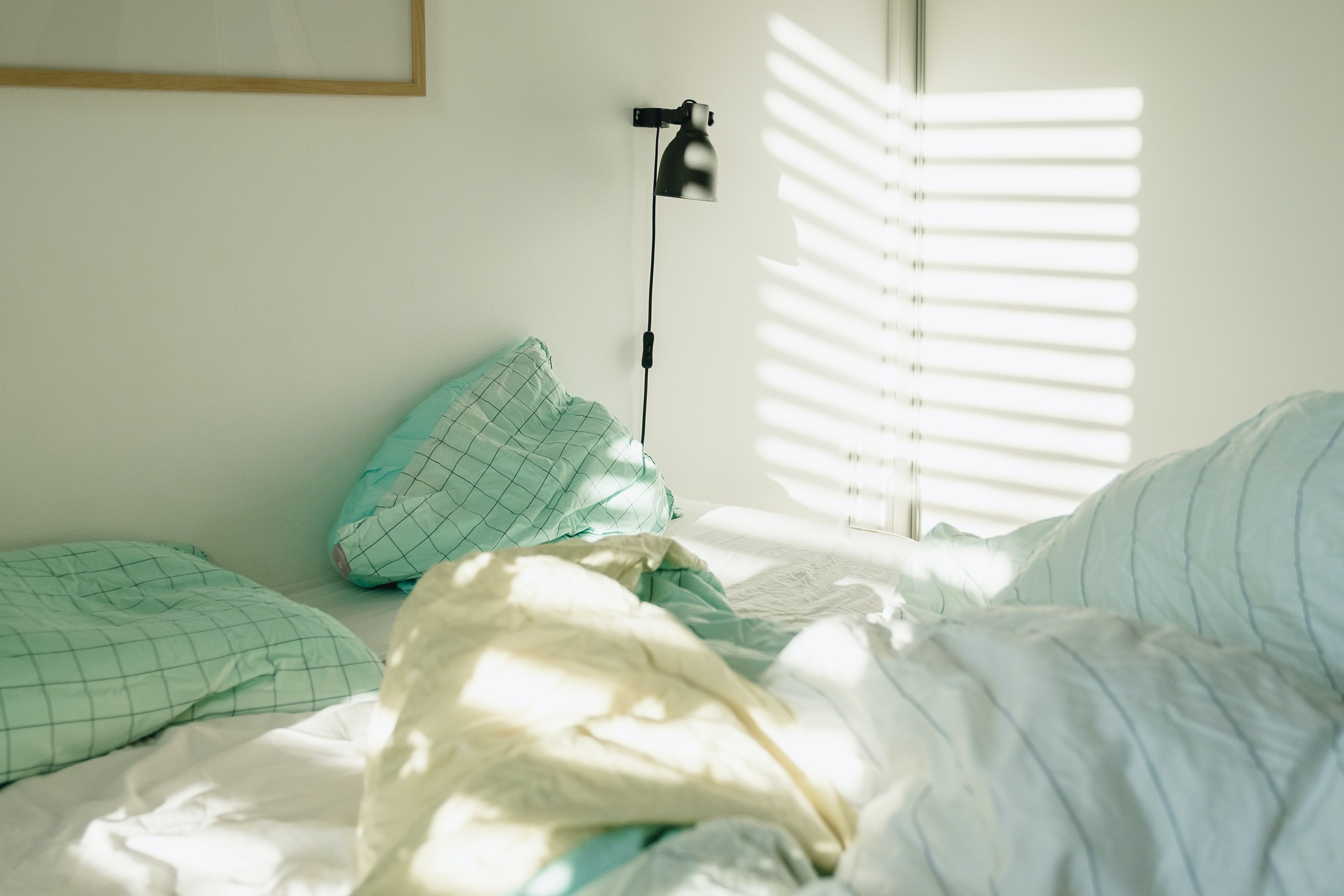 Sunlit bed